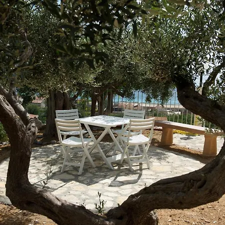 L'ulivo Sul Mare * Cetraro