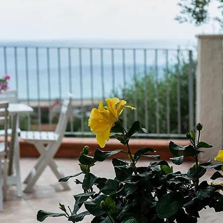 Oda ve Kahvaltı L'ulivo Sul Mare